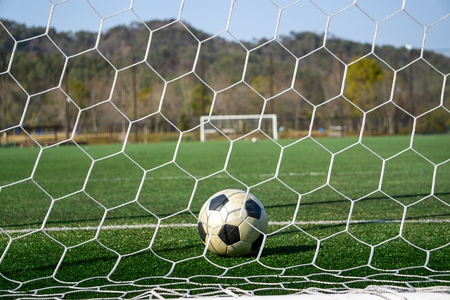 敏锐的比赛 敏锐的比赛